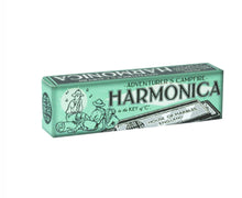 Load image into Gallery viewer, HARMONICA