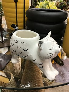 STRETCHING CAT POT