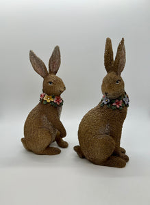 BROWN RABBITS