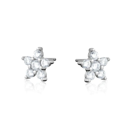 LIMLIM SILVER CRYSTAL STAR STUDS